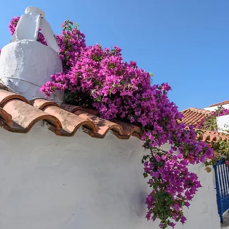 Villea Seaview Case de vacanță Skopelos