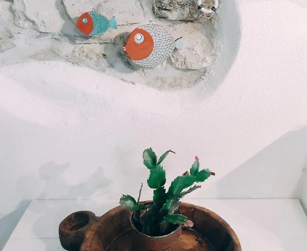 Vakantiehuis Villea Seaview